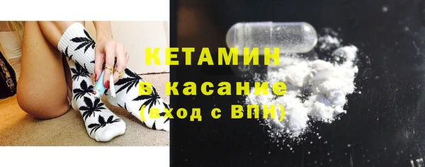 сатива Михайловка