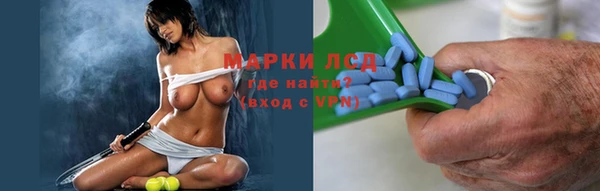 ECSTASY Алзамай