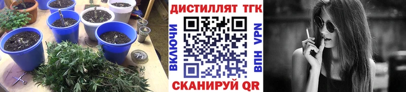 цена   Чехов  ТГК Wax 