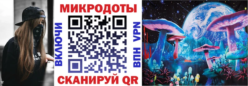 Псилоцибиновые грибы мицелий  Чехов 